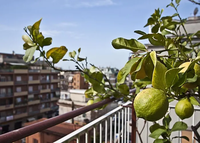 Splendidae Mundi 4* Rome